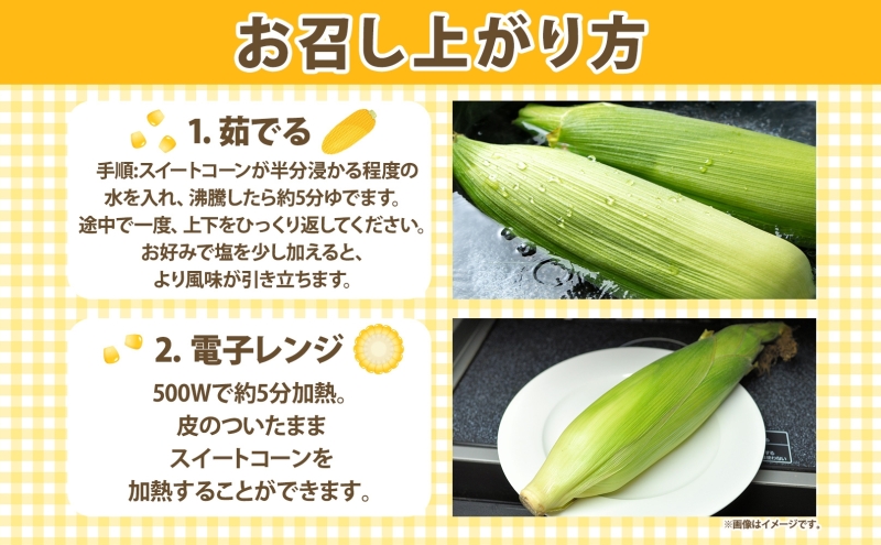 2025年 先行予約 【 のざわ農園 】スイートコーン 5本 前後（約2kg） とうもろこし コーン とうきび 北海道 日高産