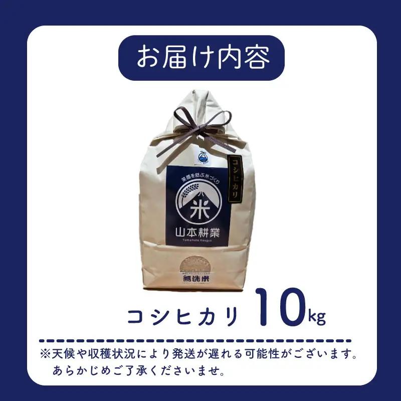 コシヒカリ 10kg 無洗米 牧之原市 静岡県 山本耕業