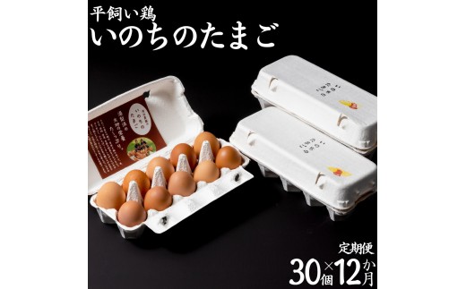 114MZ.平飼い鶏の『いのちのたまご』30個×12カ月〔定期便〕