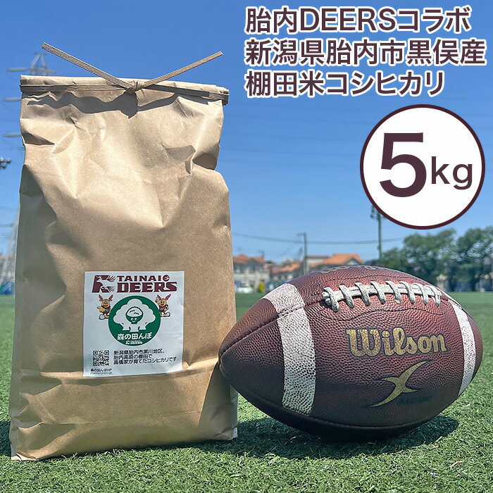 【ふるさと納税】米 5kg 新潟 コシヒカリ こしひかり 新潟こしひかり 白米 精米 ディアーズ米 5kg 棚田米 コシヒカリ 新潟県胎内市産
