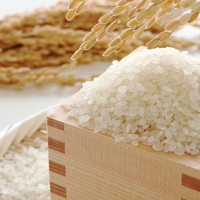 ふるさと納税 筑紫野市 ふくおか産「米」元気つくし5kg×2袋(筑紫野市) |  | 01