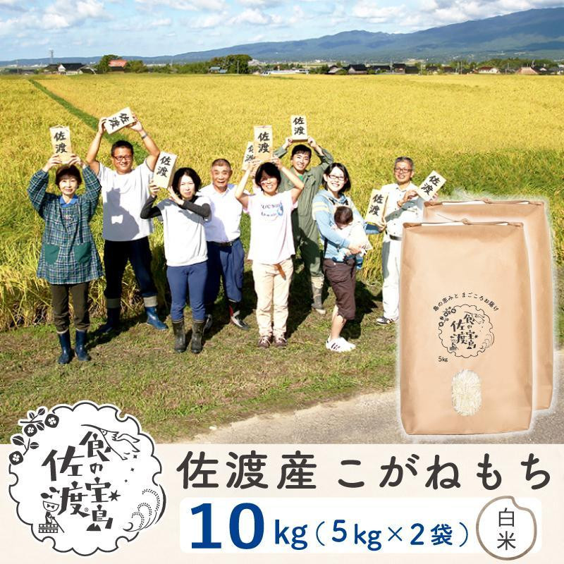 
【新米】佐渡島産 こがねもち もち精米 5ｋg×2袋
