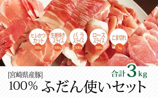 
宮崎県産豚 普段使いセット 500g×6パック 合計3kg【B235】
