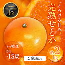 【ふるさと納税】≪先行予約≫ 大トロみかん『木熟せとか』家庭用 バラ詰め 約2kg ミカン みかん せとか フルーツ 果物 旬 mikan 訳あり ワケアリ 訳アリ 愛知県 豊橋市 12000円