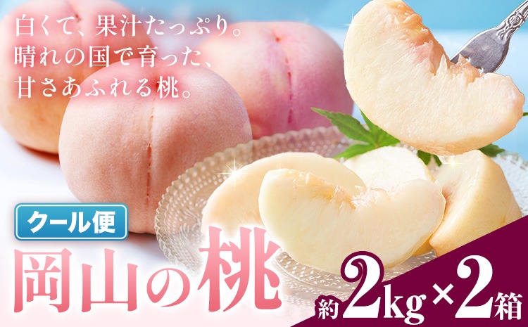 ＼豊作につき特別寄附額／ 最短翌日発送！ 桃 岡山の桃 約2kg × 2箱 《1-5営業日出荷》岡山県 笠岡市 白桃 岡山 はくとう スイーツ フルーツ 果物 旬 モモ もも 果物 清水白桃 白鳳 クール便---kasaoka_zsy_410a_2020_s---