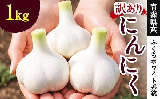 ≪訳あり≫ にんにく (ふくちホワイト系統) 1kg 【南部宝園】 ニンニク 大蒜 AOMORI AGRI BASE 青森県 南部町 F21U-738