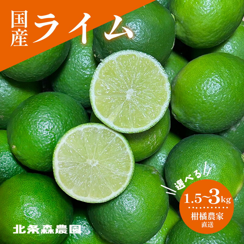 【ふるさと納税】 さわやか果実 ライム 約1.5kg～約3kg | ライム みかん 柑橘 国産ライム ジュース カクテル スイーツ サラダ 愛媛 松山 北条 果物 フルーツ 産地直送 北条森農園
