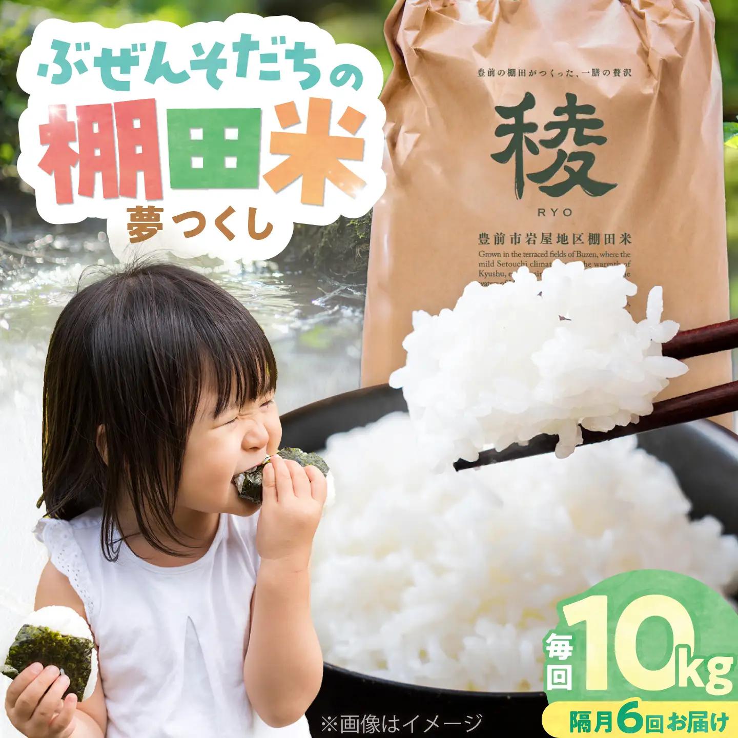 【隔月配送 全6回定期便】 求菩提米　夢つくし　10kg (5kg×2袋)《豊前市》【アグリネックス】米 お米 白米[VCO020]