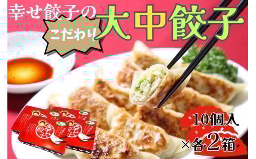 幸せ餃子のボリューム満点こだわり大・中餃子（各2箱）/ 餃子 ギョウザ 手作り ジャンボ餃子 ２サイズ 冷凍 食品 おかず １０個入り ２箱 冷凍 食品 おかず  冷凍 食品 おかず 国産 国産野菜 高座豚 ぎょうざ  ギョーザ 餃子 冷凍餃子  焼き餃子 焼餃子 冷凍 冷凍食品 おかず 弁当 惣菜 おつまみ おやつ 時短  便利 焼くだけ お手軽 アレンジ 常備