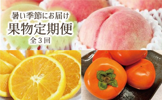 
                  【全3回定期便】暑い季節にお届け！果物定期便　バレンシアオレンジ・桃・柿　旬のフルーツをお届け♪【tkb142】
                
