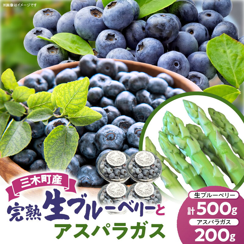 【ふるさと納税】【期間限定】完熟生ブルーベリー約500g＋アスパラガス約200g|生ブルーベリー 完熟 フルーツ 眼に良い フレッシュ ジューシー 香り 旬の果物 香川県 三木町 アスパラガス セット