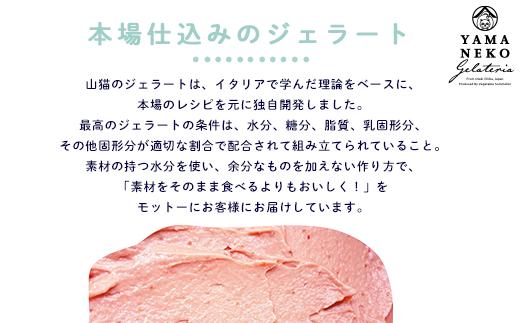 W01031 野菜ソムリエのイタリアンジェラート専門店＜山猫ソフトクリーム＞６個セット_イメージ2
