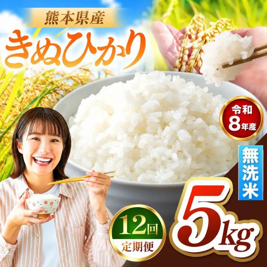 【 定期便 12回 】R8年産 熊本県産 無洗米 きぬひかり 5kg