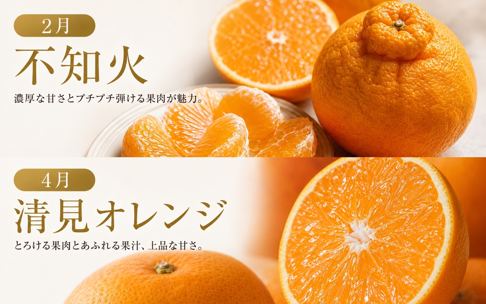【発送月固定定期便】紀州和歌山産旬のフルーツセット(不知火・清見・スイカ・桃・柿・みかん)全6回 【tkb454】