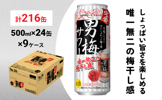 
サッポロ 男梅 サワー 500ml×216缶(9ケース分)同時お届け 缶 チューハイ 酎ハイ サワー
