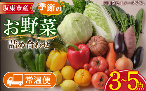 【坂東市産】季節のお野菜詰め合わせ ／ やさい 野菜 旬 産地直送 新鮮 詰め合わせ 旬の野菜セット 葉物野菜 根菜 トマト レタス 時短料理 常備菜 おうちごはん 野菜不足解消 彩り野菜 贈り物 ギフト 生活応援 季節限定 茨城県 No.876