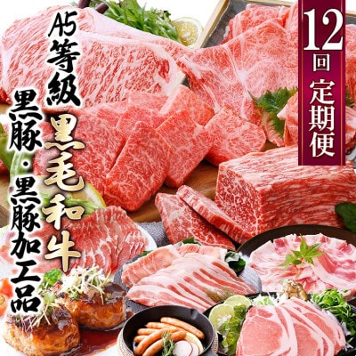 お肉の定期便(12回)枕崎お楽しみ便(A5等級黒毛和牛・黒豚・黒豚加工品etc) KK−6003【1166746】