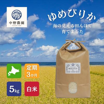 ふるさと納税 島牧村 【毎月定期便】ゆめぴりか 白米5kg全3回