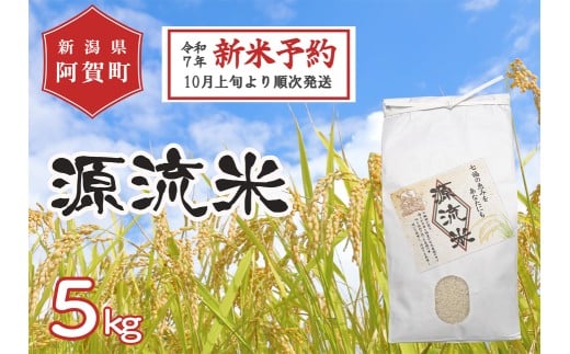 《令和7年産米》源流米　コシヒカリ5kg（1袋） ～七福の恵をあなたにも～
