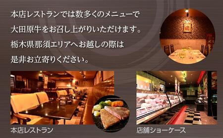 【2名様分】 大田原牛 特上ロース ステーキ 2枚とシチュー・カレー・生ハンバーグ各2パックの詰め合わせ | ブランド牛 和牛 牛肉  高級 ロース ステーキ ハンバーグ カレーライス ビーフシチュー