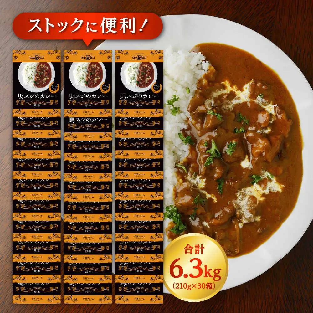 熊本 馬肉 馬スジのカレー 30食分（210g/食）カレー[AYAF116]