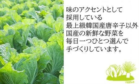 創業36年 高麗神社献上 サンドラキムチ