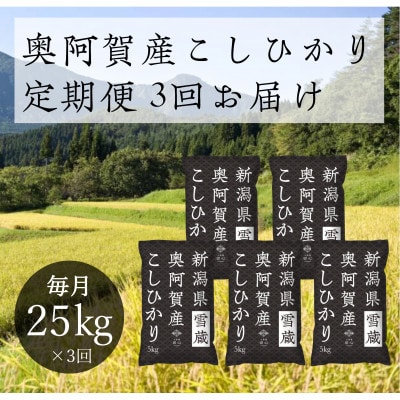 【発送月固定定期便】新潟県奥阿賀産こしひかり 精米25kg全3回【4054439】