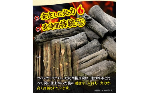 紀州備長炭荒並約15kg望商店《30日以内に出荷予定(土日祝除く)》備長炭紀州備長炭炭約15kg高級白炭---wshg_nzm5_30d_23_55000_15kg---｜備長炭備長炭備長炭備長炭備長