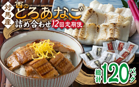 【全12回定期便】対馬産 穴子 詰め合わせ 10PAC [WAV011] 対馬 新鮮 とろ あなご 煮穴子 冷凍 海鮮 