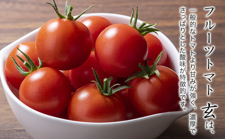【定期便2回】フルーツトマト「玄」1kg | ミニトマト プチトマト フルティカ ミディトマト 国産 野菜 大分県 中津市