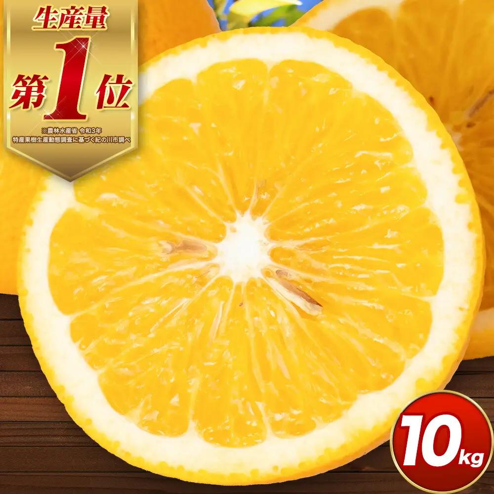 ご家庭用はっさく八朔約10kg