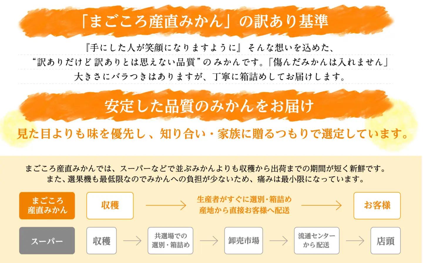 【先行予約】訳あり 海南市 極早生みかん 6.5kg フレッシュな旬の味わいをお届け!2026年10月より順次発送 日南早生みかんなど［Mg2］