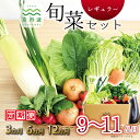 【ふるさと納税】【定期便】 《 レビューキャンペーン 》 京丹波 旬菜セット レギュラー 9～11品目 《 選べる定期便 》 3回 6回 12回 定期便 野菜 詰め合わせ 京都 丹波 京丹波町産 産地直送 京野菜 減塩 レシピ ※北海道・東北・沖縄・その他離島は配送不可