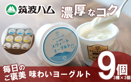 【筑波ハム】毎日のご褒美 味わいヨーグルトギフトセット 【 ヨーグルト ヨーグルト ヨーグルト ヨーグルト】