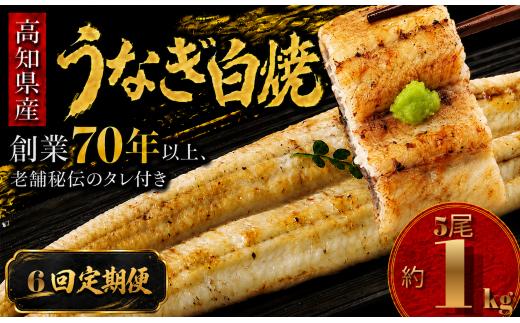【6回 定期便】 高知県産 うなぎ 白焼 5尾 | 国産 日本産 うな重 うな丼 鰻 ウナギ 有頭 白焼き しらやき 土用丑の日 土用の丑の日 丑の日 魚 魚介 魚貝 海鮮 高級 贅沢 特別 老舗 初音 釜めし初音 鰻蒲焼 タレ付き タレ 贈答 お取り寄せ 冷凍 うな重 ギフト 贈り物 お祝い プレゼント ご褒美 人気 おすすめ 湯煎 簡単 調理 おかず お手軽 ご当地 グルメ 高知県 南国市