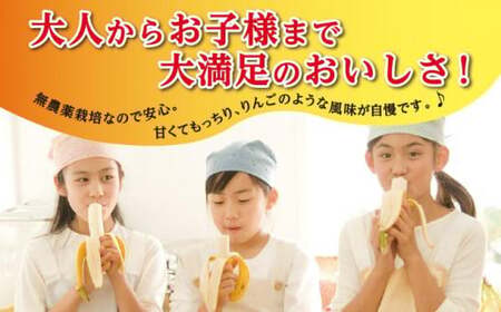 バナナ 南城市 ナムワバナナ3kg