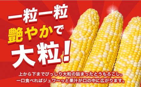 朝採りとうもろこし 河合農園のスイートコーン 12本 特大サイズ(1本380g以上) 河合農園《2026年8月上旬-9月中旬頃出荷》特大 北海道とうもろこし　とうもろこし　とうもろこし　とうもろこし 