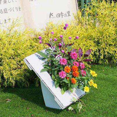 ふるさと納税 朝倉市 季節のお花寄せ植え(額縁プランター) |  | 02