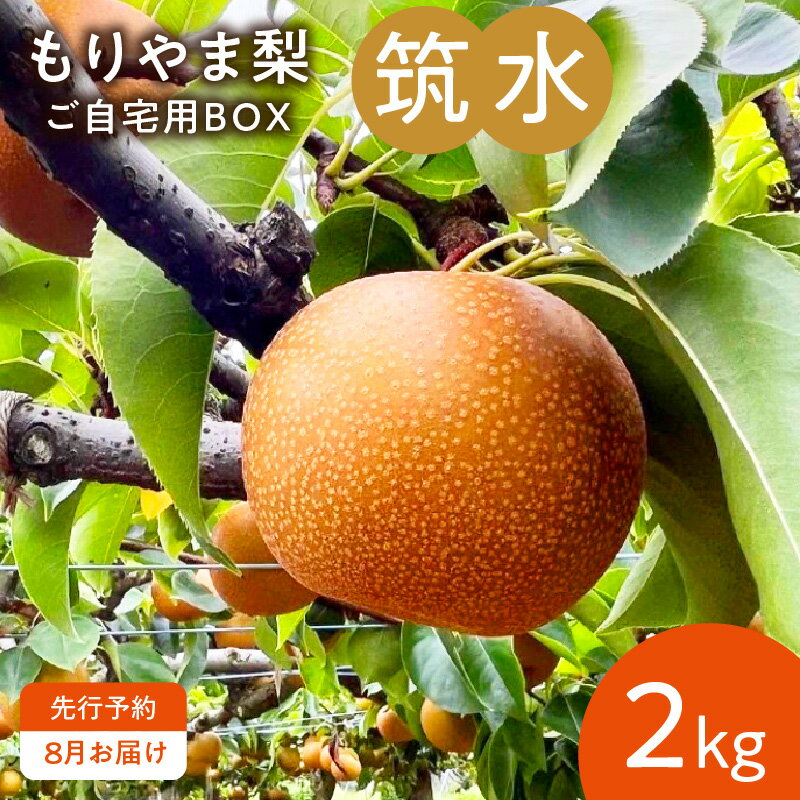 【ふるさと納税】【8月お届け】 もりやま梨 筑水 2kg ご自宅用 梨 完熟 果汁 みずみずしい 果肉 しっとり 甘み 香り 果物 フルーツ デザート おやつ びわこもりやまフルーツランド お取り寄せ お取り寄せフルーツ 滋賀県 守山市 送料無料