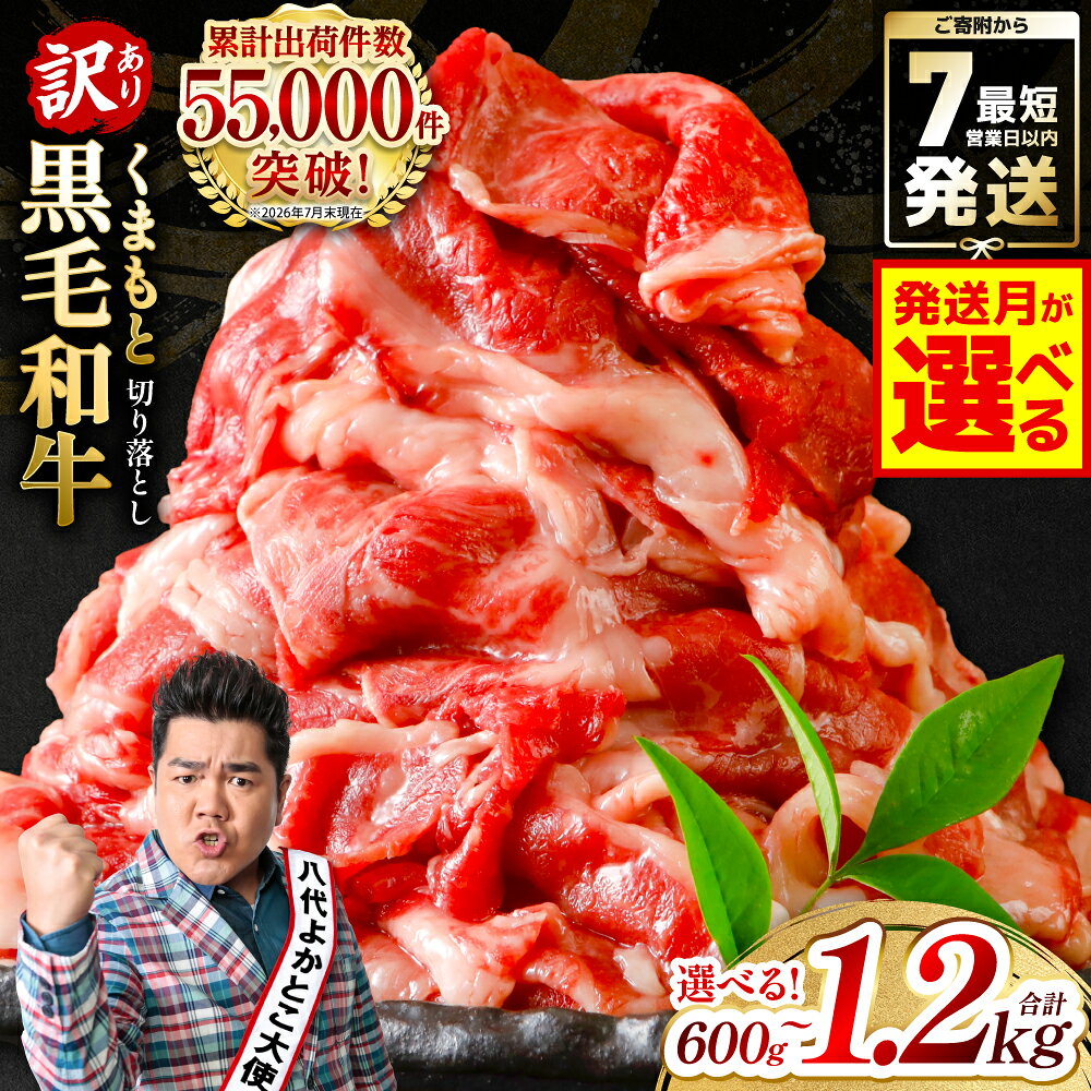【ふるさと納税】令和8年熊本地震復興支援 訳あり 黒毛和牛 牛肉 切り落とし 小分け パック 冷凍 600g〜1.2kg くまもと黒毛和牛【選べる内容量・発送月】 霜降り 部位ミックス 毎月数量限定 限定 国産牛 ブランド牛 国産 黒毛和牛 お肉