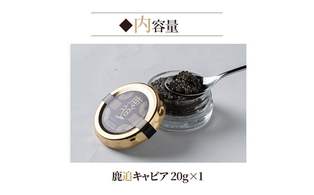 鹿追キャビア 20g×1 SKAF002