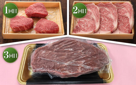 【全3回定期便】【数量限定】【GI認証】くまもとあか牛 食べ比べ A / 菊陽町 あかうし 熊本県 肉 にく niku ブランド 旨み 【有限会社 三協畜産】[BHAS024]