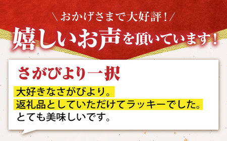 【先行予約】令和7年産 新米 さがびより 玄米 15kg【かづやの農園】 [HAP003]