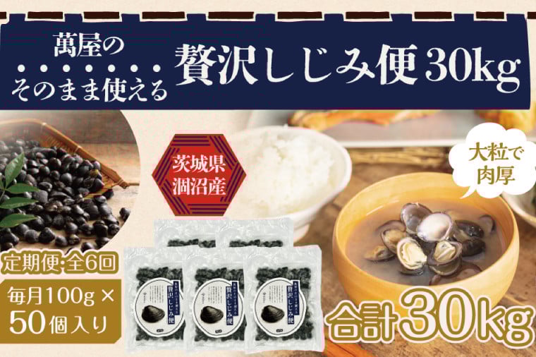 
            【6ヶ月定期便】涸沼産冷凍しじみ中粒５kg（100g×50p）【シジミ 中粒しじみ 産地直送 砂抜き済み 砂抜き 小分け包装 味噌汁 みそ汁 茨城県】（CA-31）
          