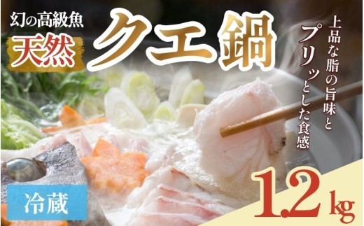 【2026年10月より順次発送】天然 クエ鍋 4人前（アラ600g・身600g）※冷蔵　｜ クエ クエ鍋 天然 和歌山県 みなべ町 冷蔵 高級魚 魚 アラ 希少 海鮮 魚介 鍋 【smr007】