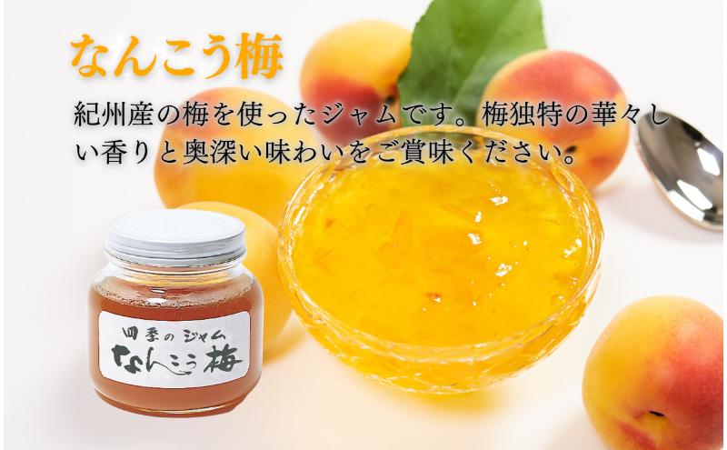 なんこう梅（M）4個セット ジャム 手作り セット 梅 朝食 軽食 上田市