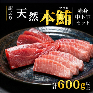 【スピード発送】 訳あり 天然本まぐろ 赤身中トロセット600g まぐろ