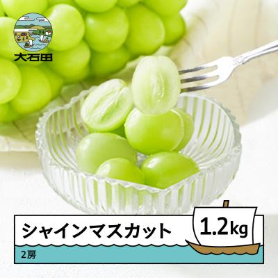 ふるさと納税 大石田町 【先行予約】 ぶどう シャインマスカット 秀品 600g×2房 令和8年産 2026年産