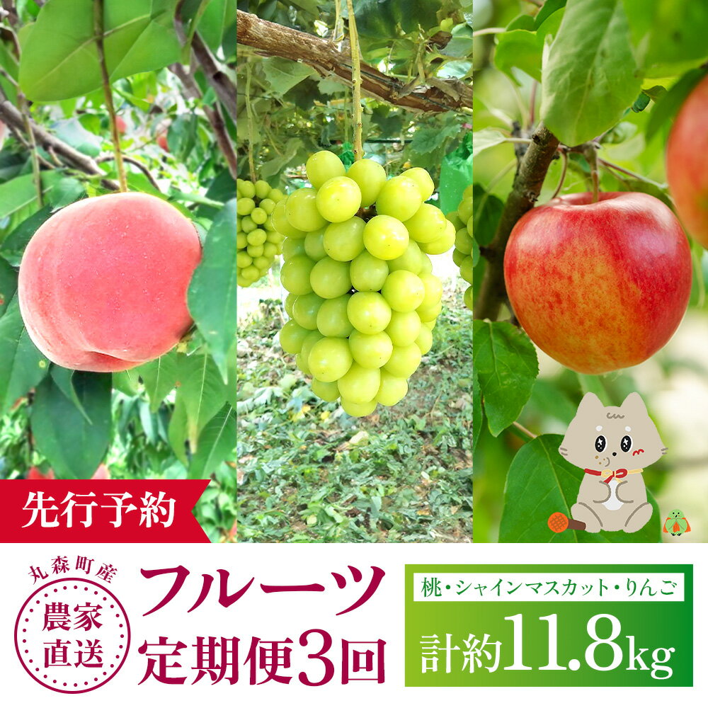 【ふるさと納税】【先行予約】《採れたてを農家直送》 宮城県丸森町産 フルーツ定期便 コース2 （桃・シャインマスカット・りんご） | 桃 13玉～16玉 5kg 1箱 シャインマスカット 600g以上 3房 ふじりんご 14～18個 5kg 宝ノ木果樹園 お取り寄せ 宮城県 丸森町 丸森【48008】