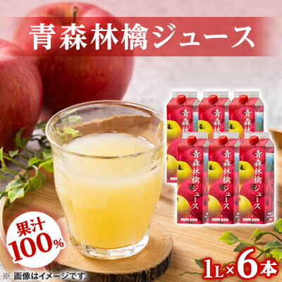 【ふるさと納税】青森林檎ジュース1,000ml×6本【配送不可地域：離島・沖縄県】【1655006】